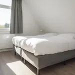 Semesterbostad On Texel With A Spacious Terrace